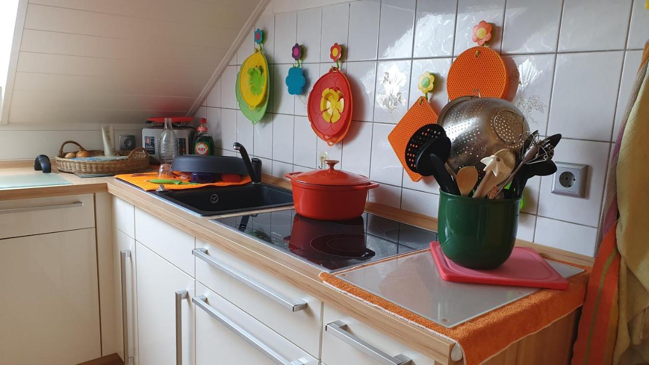 100Qm Ferienwohnung In Halberstadt, Dem Tor Zum Harz Exterior photo